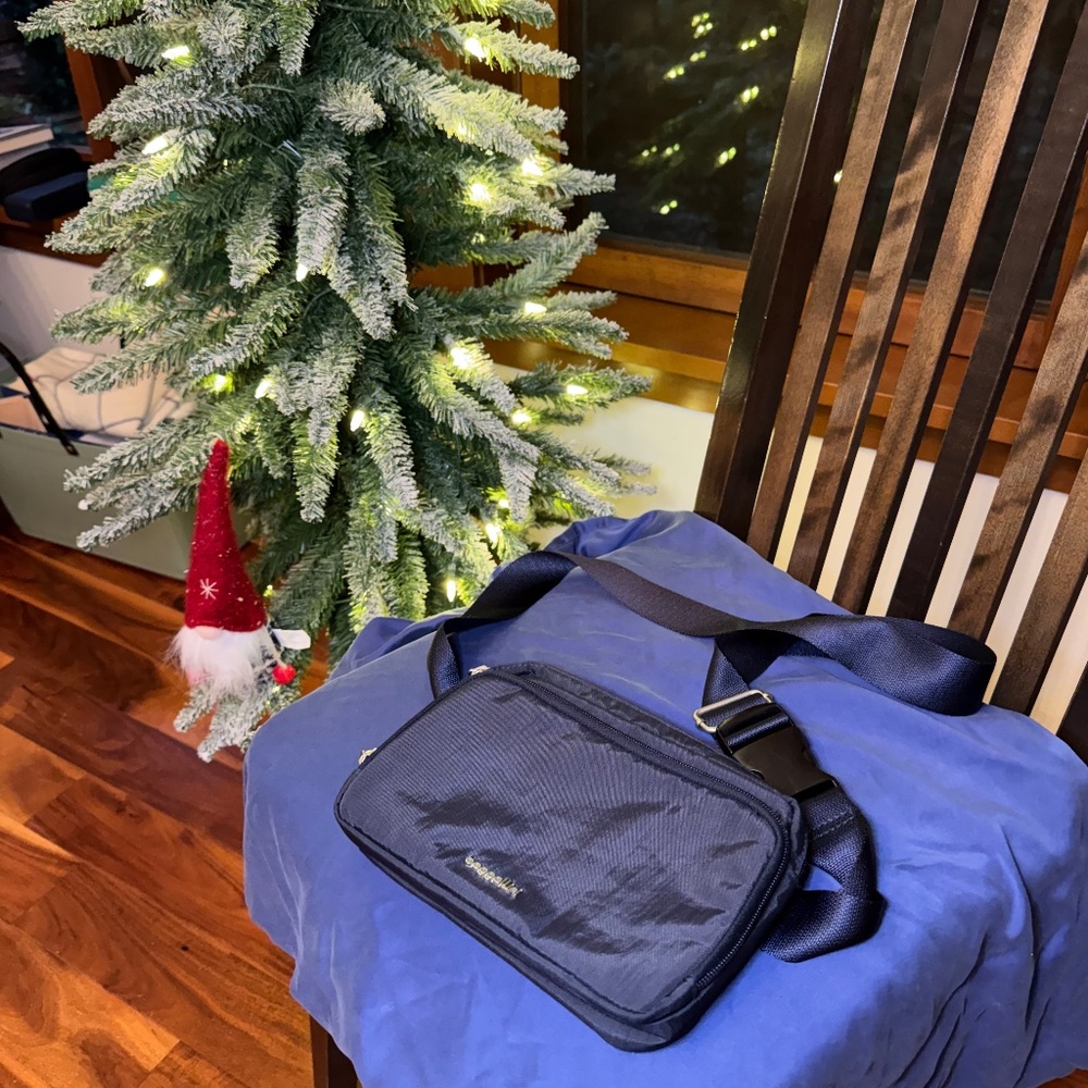 Baggallini "Modern Belt Bag / Sling Bag" Classic Navy  Like New! - Picture 3 of 9